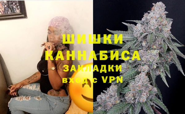 СК Волосово