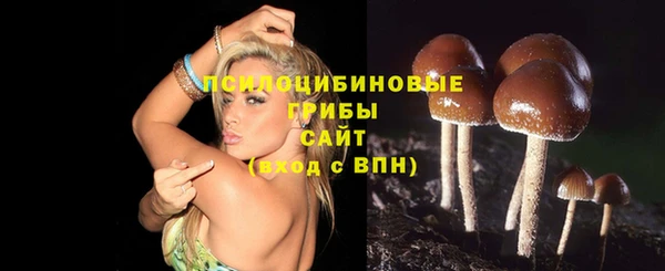 СК Волосово